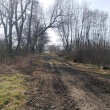 zdjęcie nr 