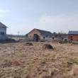 zdjęcie nr 