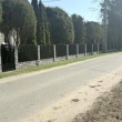 zdjęcie nr 