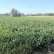 zdjęcie nr 