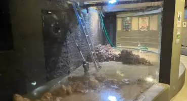 Dokąd przeprowadziły się rekiny z płockiego ZOO?