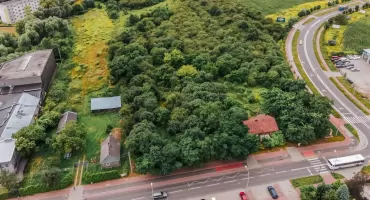 Parki, place zabaw, siłownie na powietrzu... Płock zazielenia się!