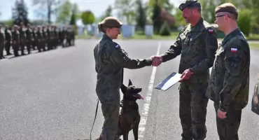 To był rozkaz dowódcy! Aira została żołnierzem, pierwszym szeregowym psem w Brygadzie