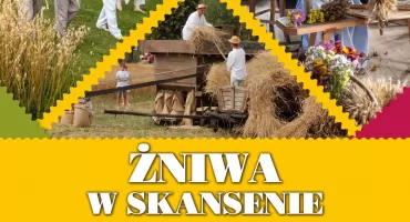 Tak wyglądały żniwa pradziadków. Dawna wieś ożyje w skansenie w Sierpcu